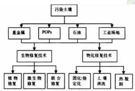 PעޏȾޏOՕr}